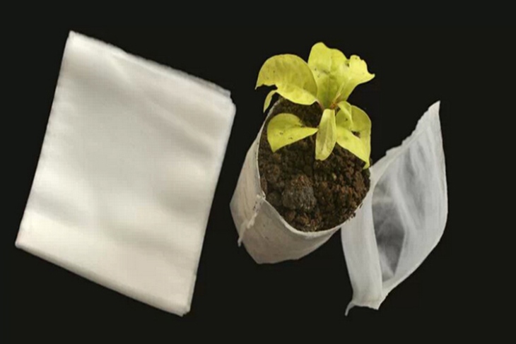 什么材質的育苗袋更適合生長